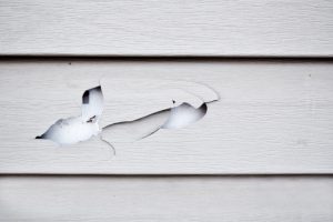 The Importance of Siding Repair
