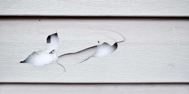 The Importance of Siding Repair