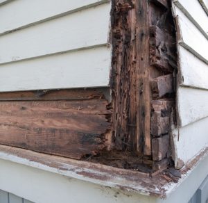 Three Signs You Need Siding Repair